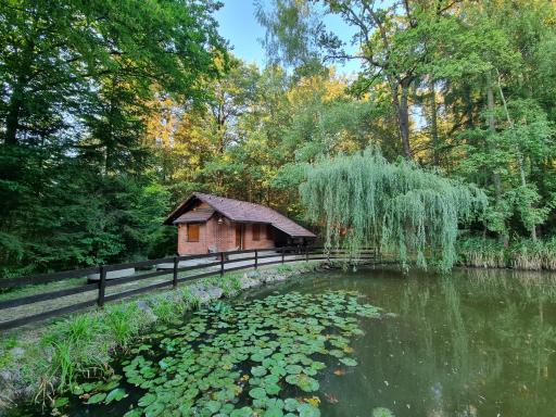 Cottage by the pond Pavel - Housity