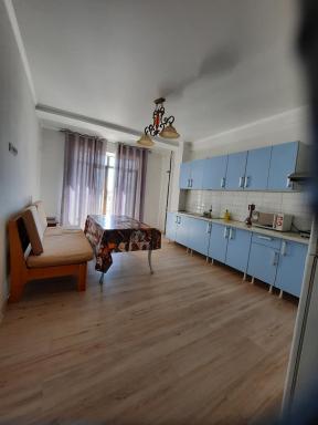 Diplomat - 2 - Hizvo