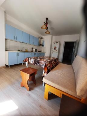 Diplomat - 2 - Housity
