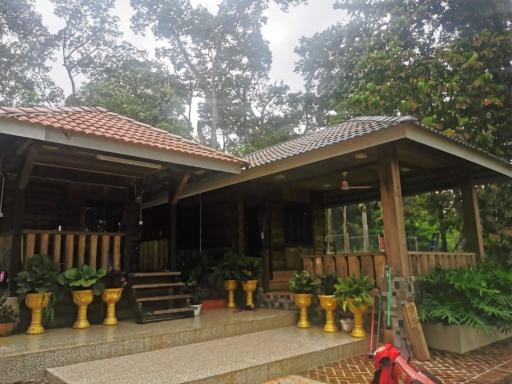 HOMESTAY DUSUN ANA BALUN - Housity