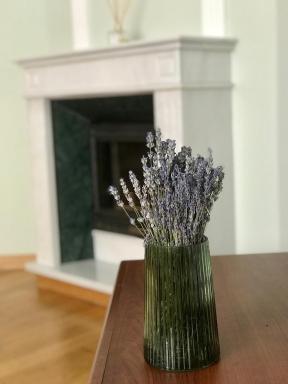 Family apartment near the University - Housity