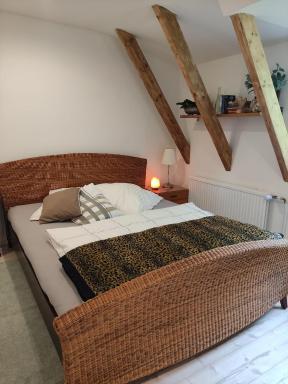 Ferienwohnung-Eider-im-Karolinenkoog-Erholung-zwischen-Feld-und-Deich - Housity