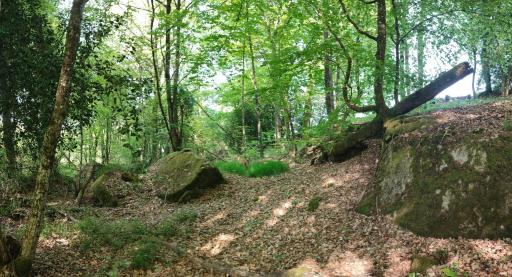 Le Domaine des Roches' L - Housity