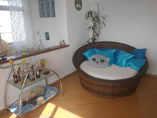 Uma experiência em um bairro arborizado em Curitiba - Housity