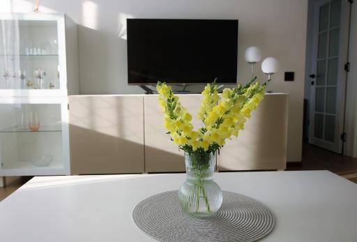 BAM apartments - Hizvo