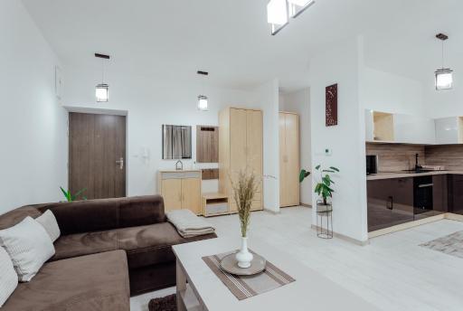 Apartmán vo vile Kammergraf - Housity