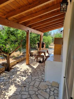 L'ulivo segreto - Housity