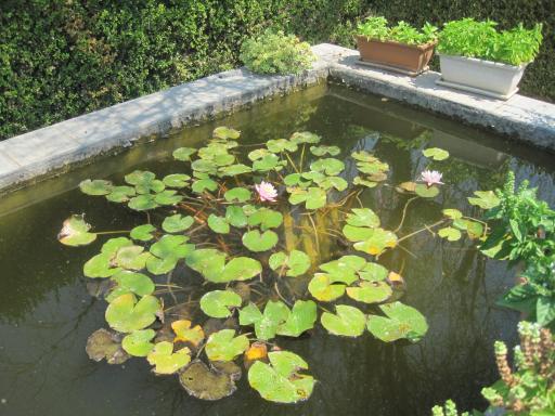 Tenuta Innocenzi - Housity