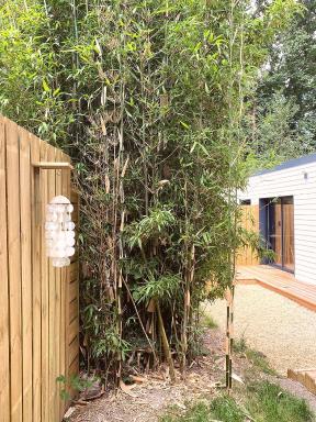 Bamboo & Spa - Housity