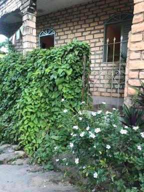 casa bela vista - Housity