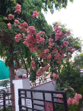 Geetas Residence - Housity