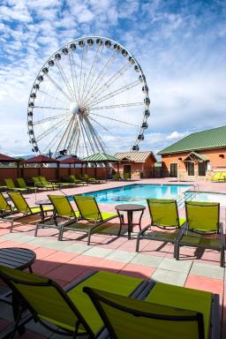 Margaritaville Island Hotel - Housity