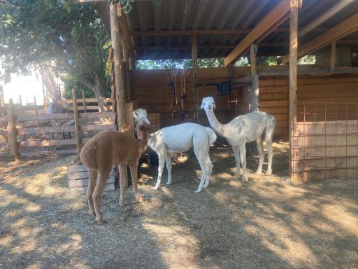 GITE Sitio Nathalie et Jos - Housity