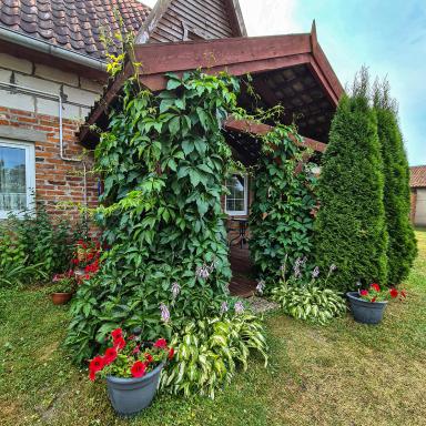 Domek Pod Mazurskim Lasem - Housity