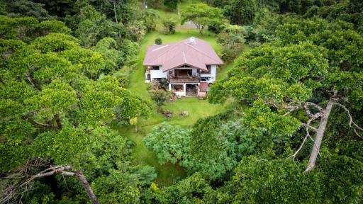 Bromelia House - Housity