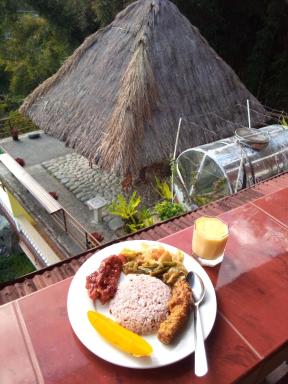 Banaue Rice Homestay - Housity