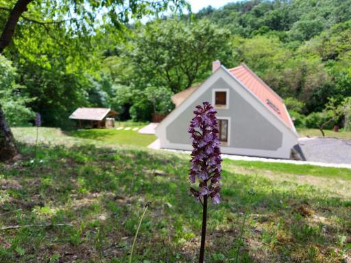 Kosbor Vendégház - Housity