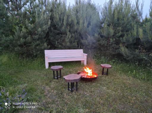 Domki w brzozach - Housity