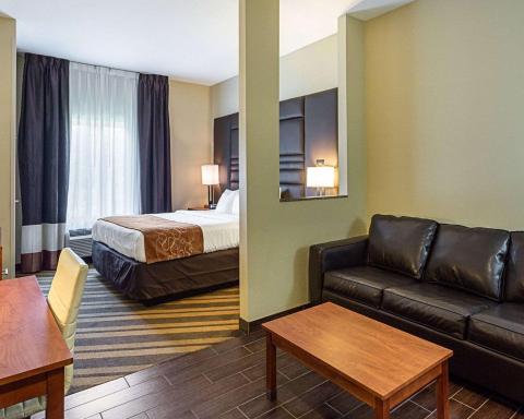 Comfort Suites near Tanger Outlet Mall - Housity