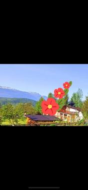 Solar Panorama - Hizvo