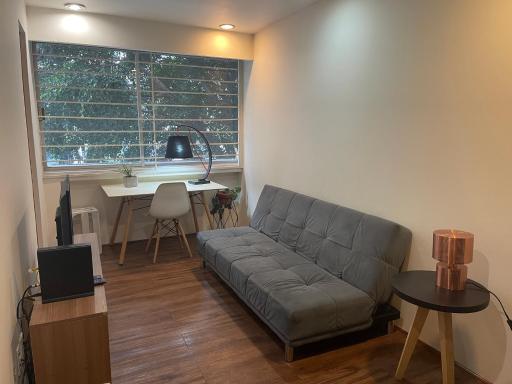 C1 Amazing cozy apartment in Condesa - Housity