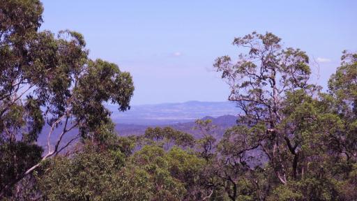 Ravensbourne Escape - Cedar Lodge - Housity