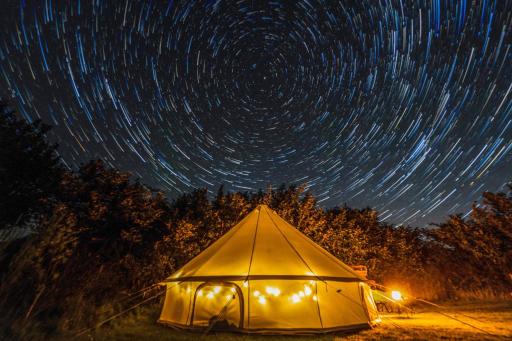 Daisy Bell Tent at Belan Bluebell Woods - Housity