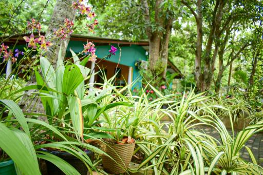 Palitha Homestay - Housity