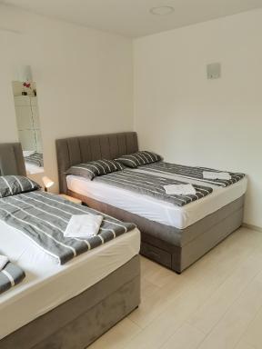Apartments Petrova170 - Housity