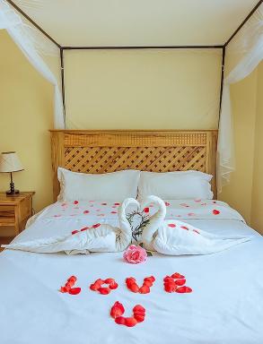 Rayan Apartments & Safaris - Housity
