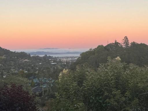 Modern, view home on San Rafael/San Anselmo border - Housity