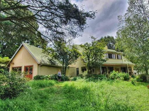 Silver Birch Studio - Hizvo