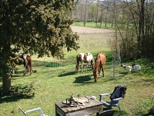 Comfortable Quiet House in the countryside Porte-du-Quercy for 8 people - Housity