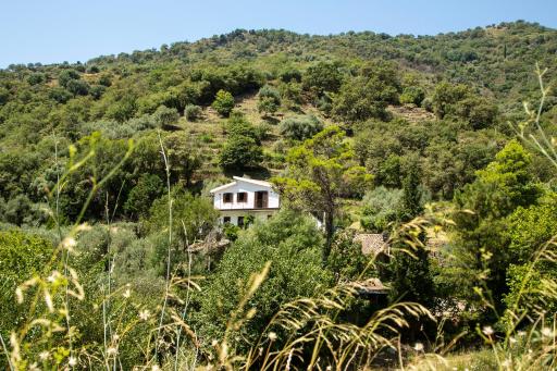 Casa Ricciolino: Sicily - Alcantara, Taormina, Etna - Housity