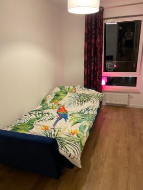 Rezydencja Klonova apartament - Housity