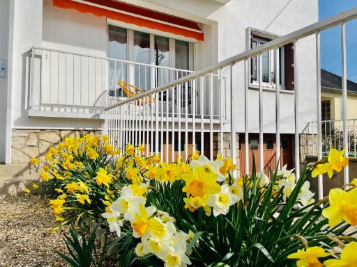 Le Bel Herminier - Calme, accès jardin, proche centre-ville - Housity