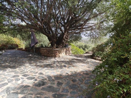 A casa di Sognu - Housity