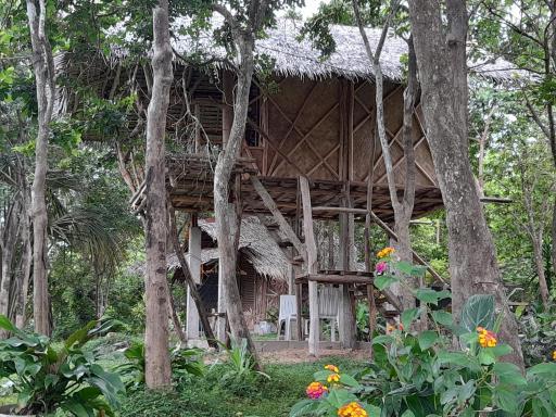 Erlittop Garden Eco Lodge - Housity