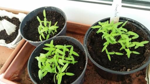 80M² Complete apartment for vacation or work - Housity