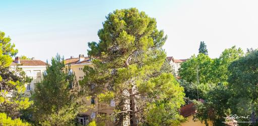 Appart à la cime des Pins - Housity