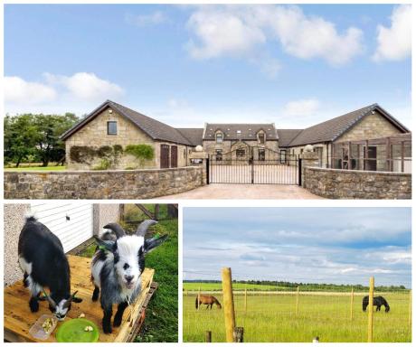 Cottage with Panoramic Views - Housity