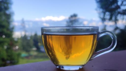 Himalayan Cloud's Homestay - Housity
