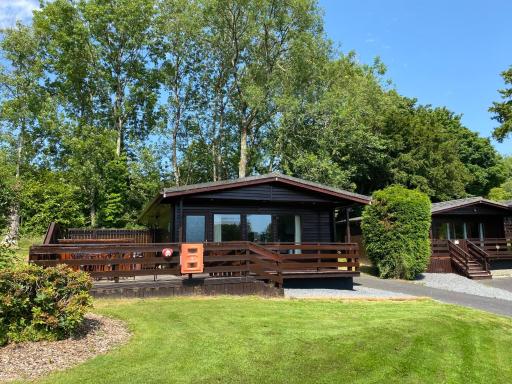 Birch Lodge 21 with Hot Tub Newton Stewart - Housity