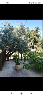 Ampio open space indipendente - Housity