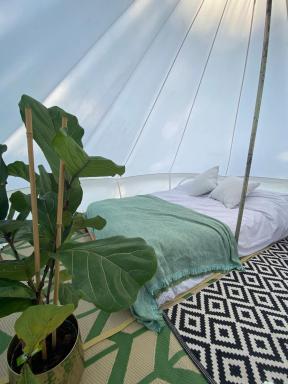 Wild goose campsite - Housity