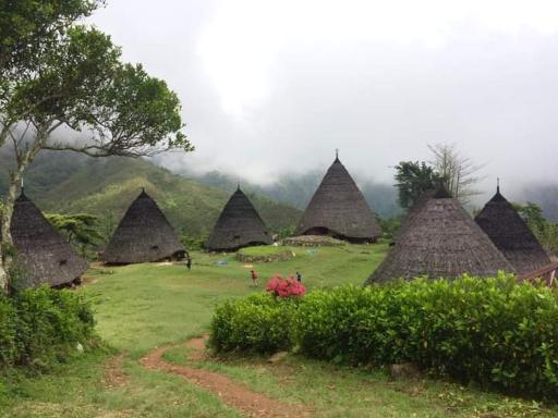 oyo cheapest lodge & kelimutu-komodo tour - Housity
