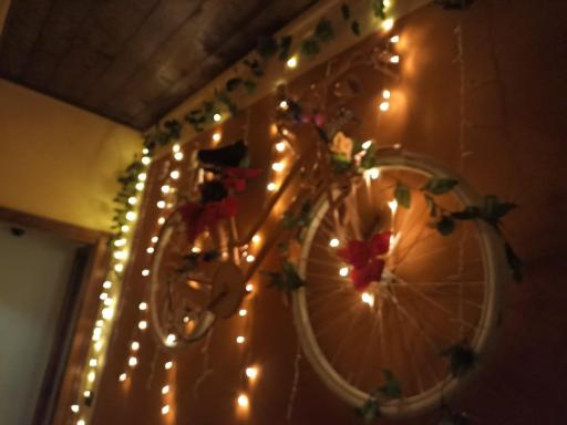 La Bicicletta Rifiorita - Hizvo