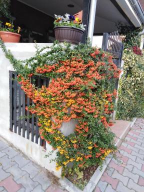 Apartment Fenix - Housity