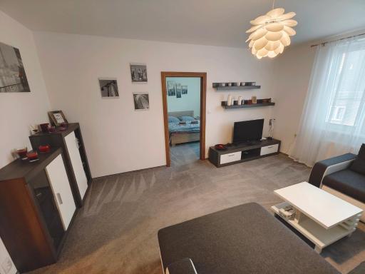 Apartmán v centru - Housity