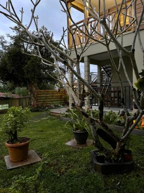 Villa Niagara avec Spa - Housity
